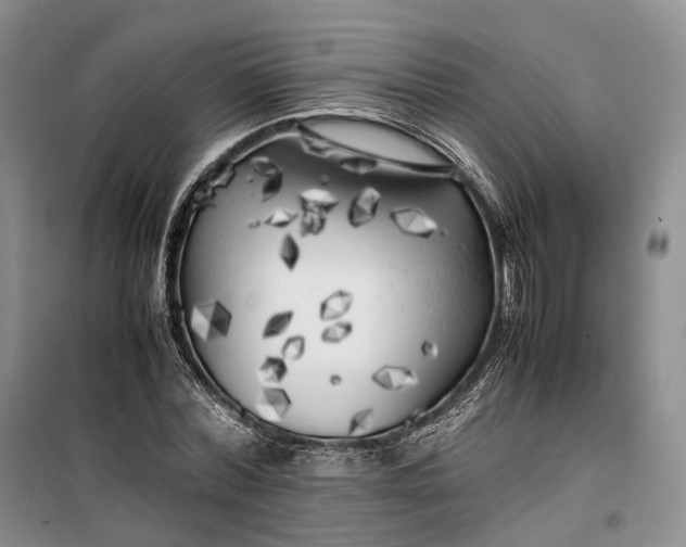 X0000100230780200806131335