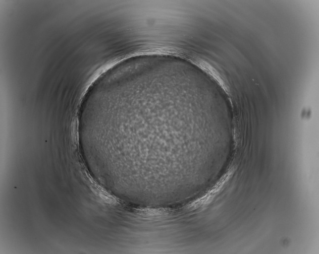 X0000100230781200806131335