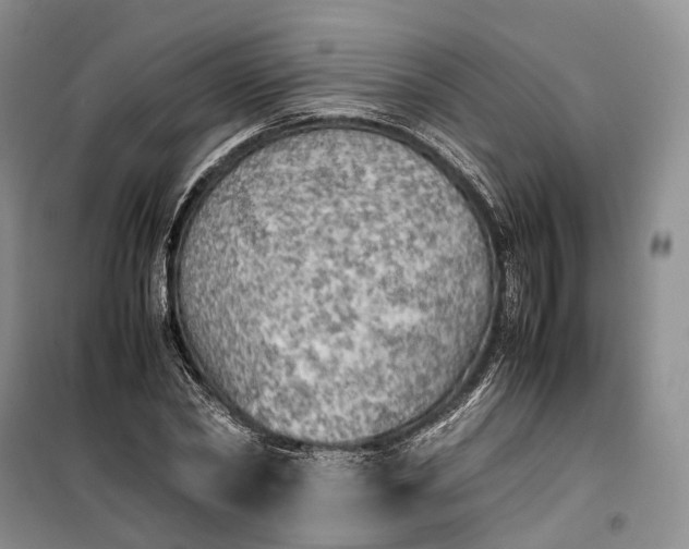 X0000100230782200806131335