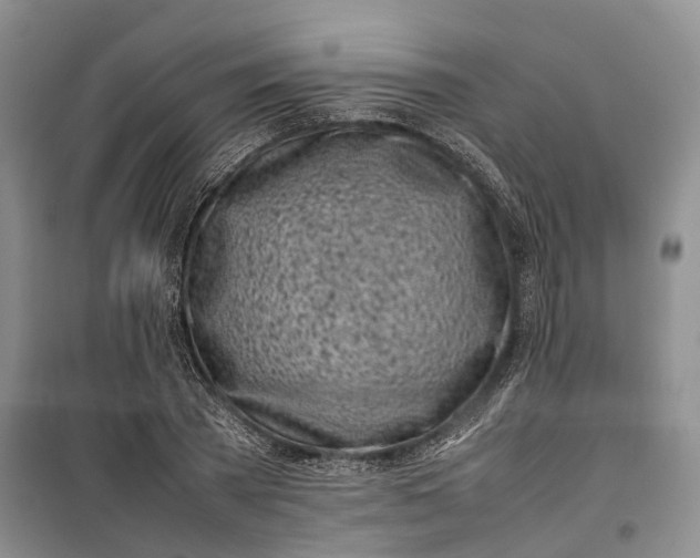 X0000100230785200806131335