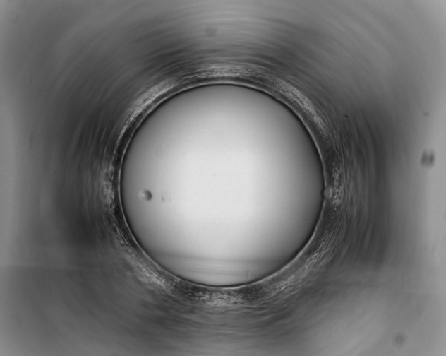 X0000100230786200806131335