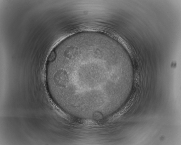 X0000100230787200806131335