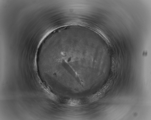 X0000100230788200806131335