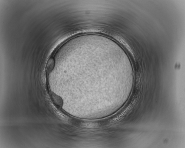 X0000100230789200806131335