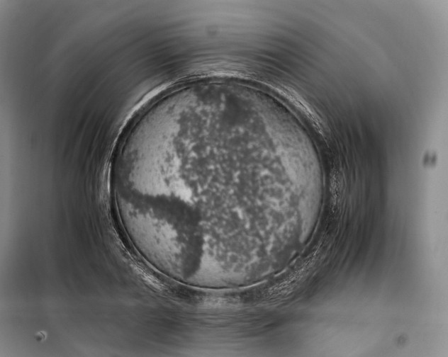 X0000100230790200806131335