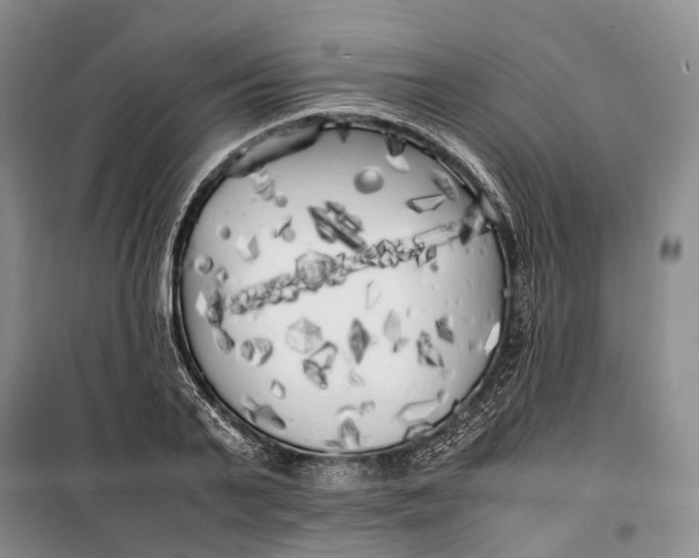 X0000100230791200806131335