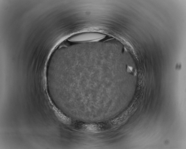 X0000100230792200806131335