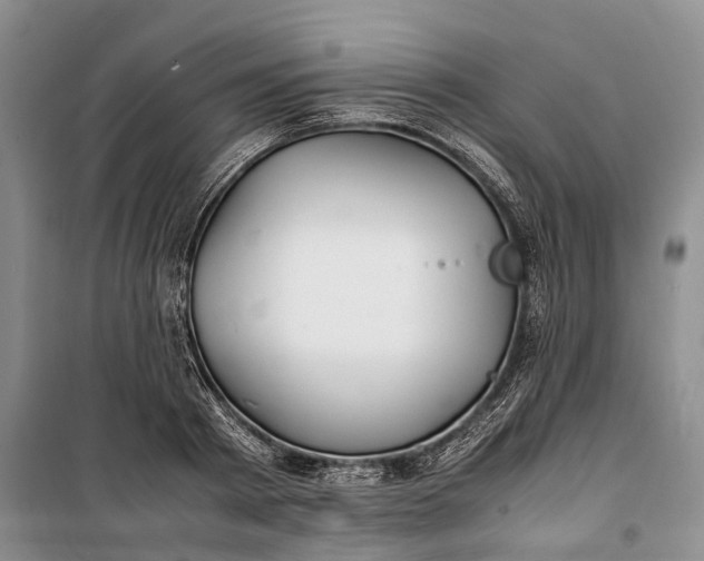 X0000100230793200806131335