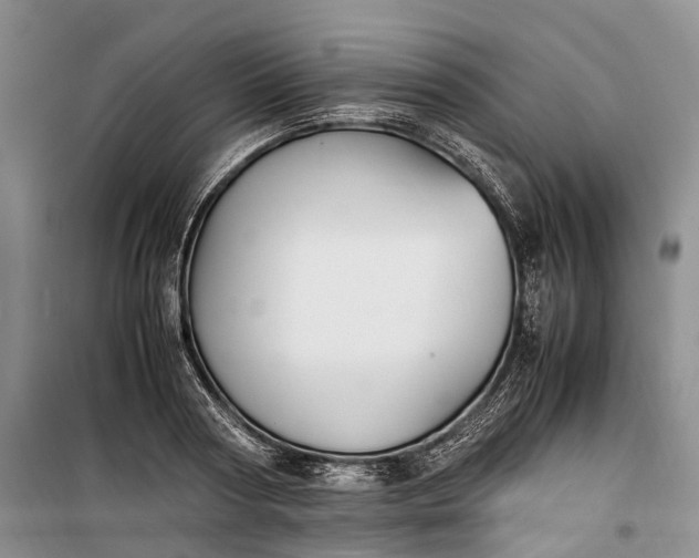 X0000100230794200806131335