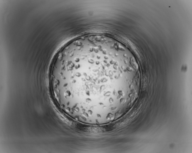 X0000100230795200806131335