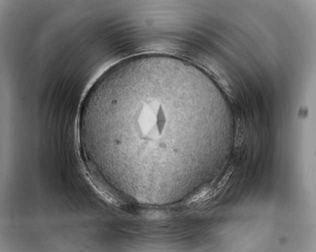 X0000100230796200806131335