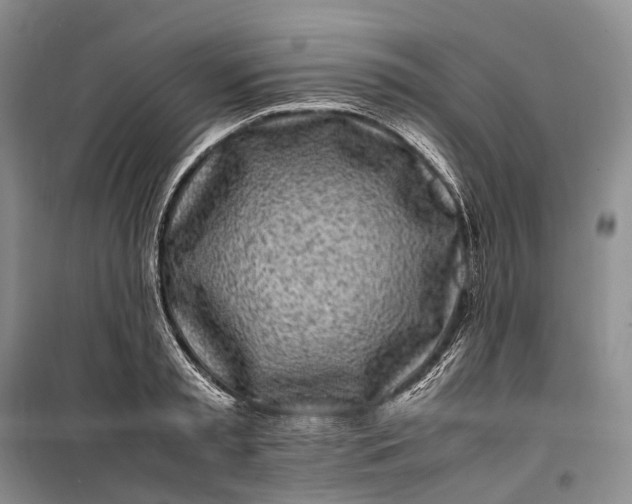 X0000100230797200806131335