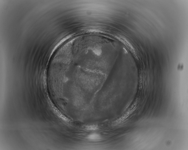 X0000100230798200806131335