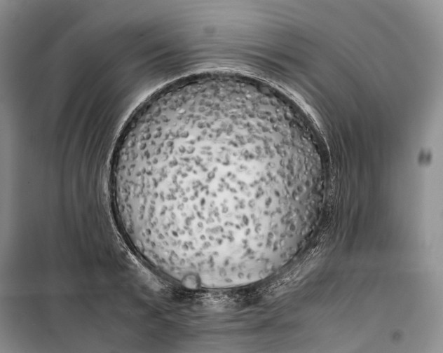 X0000100230799200806131335