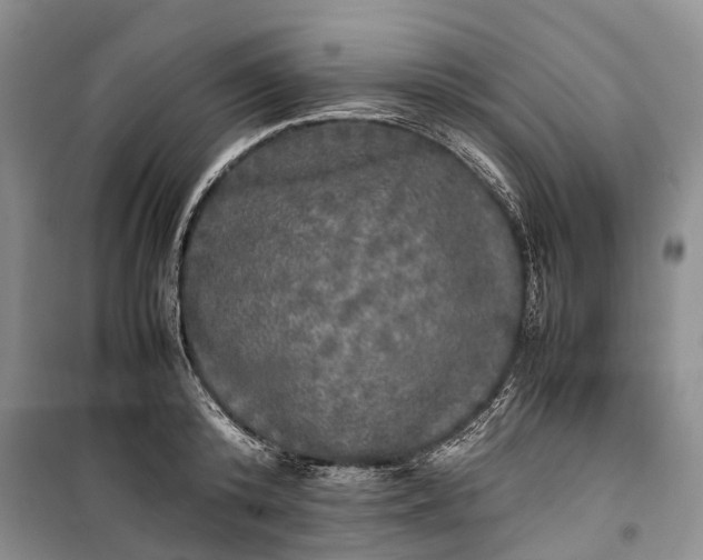 X0000100230800200806131335