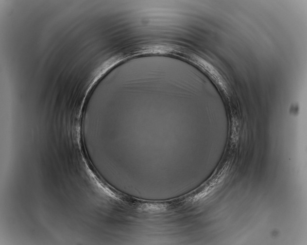 X0000100230802200806131335