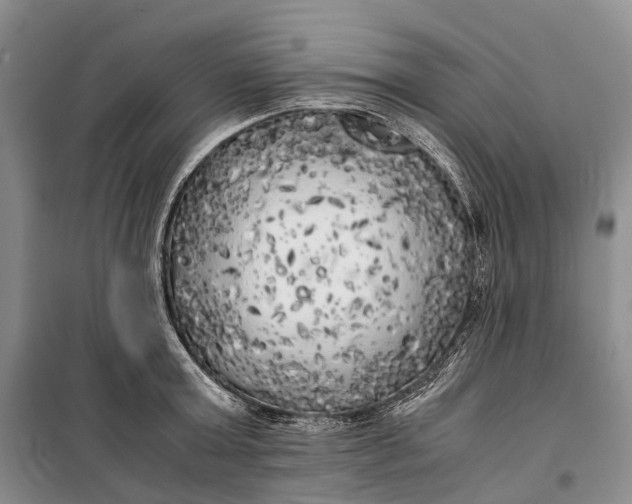 X0000100230803200806131335