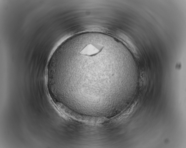 X0000100230804200806131335