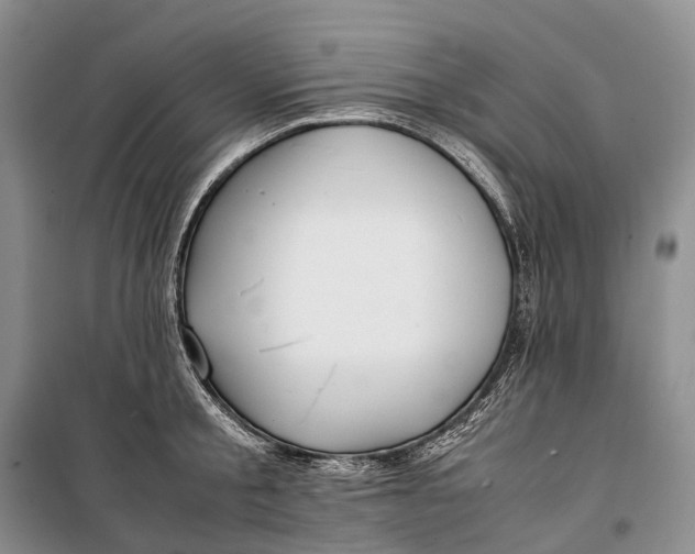 X0000100230805200806131335