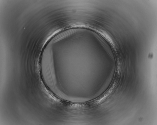 X0000100230806200806131335