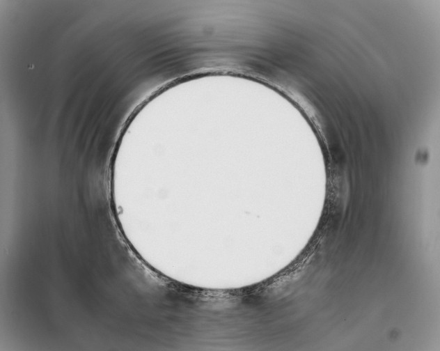 X0000100230807200806131335