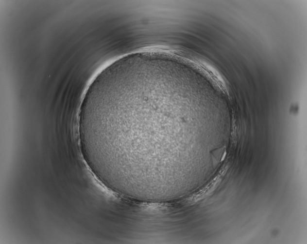 X0000100230808200806131335