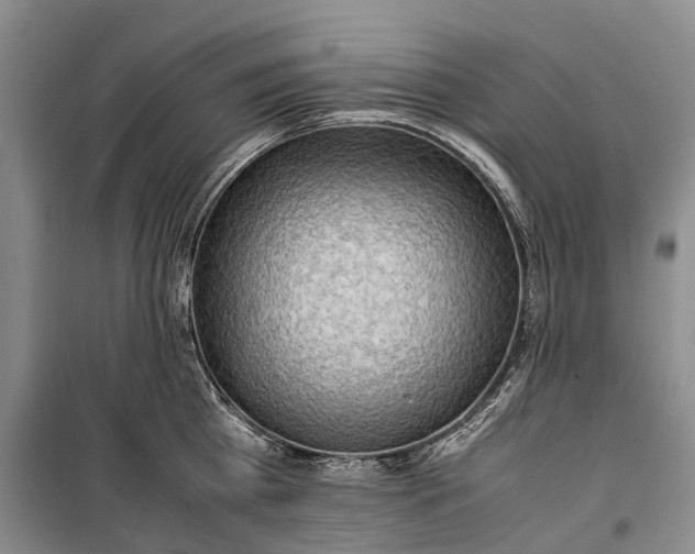 X0000100230809200806131335