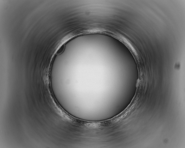 X0000100230810200806131335