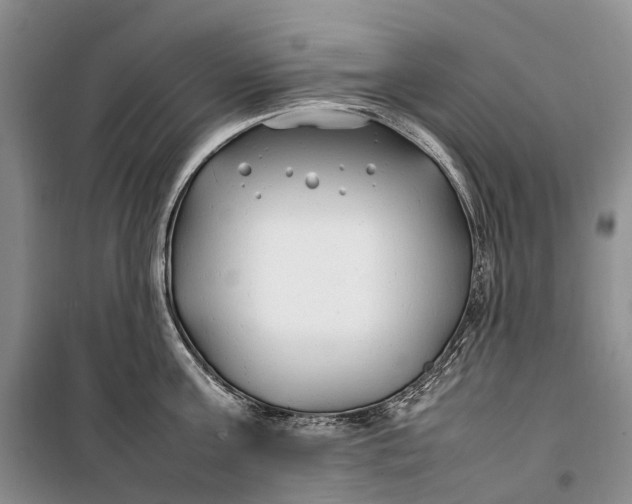 X0000100230811200806131335