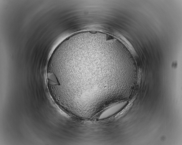 X0000100230812200806131335