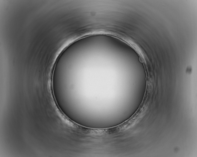 X0000100230813200806131335