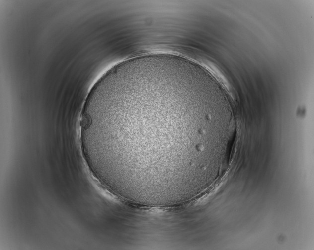 X0000100230814200806131335