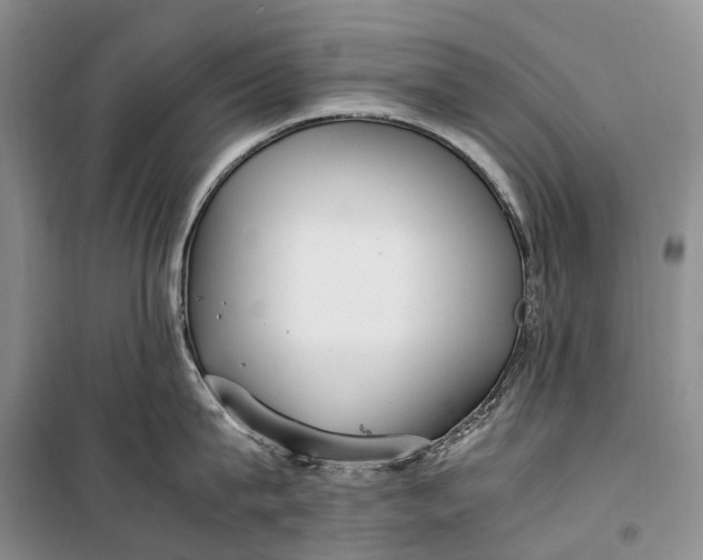 X0000100230815200806131335