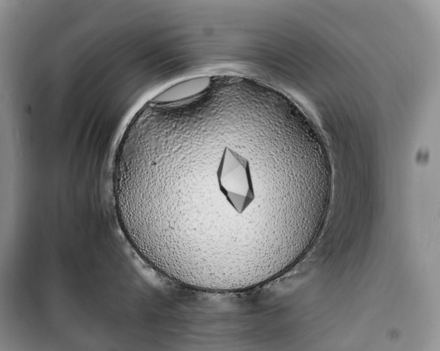 X0000100230816200806131335