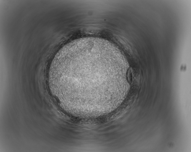 X0000100230817200806131334