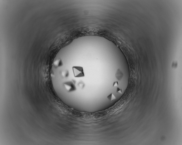 X0000100230818200806131334