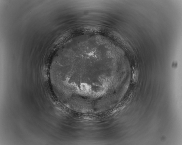 X0000100230819200806131334