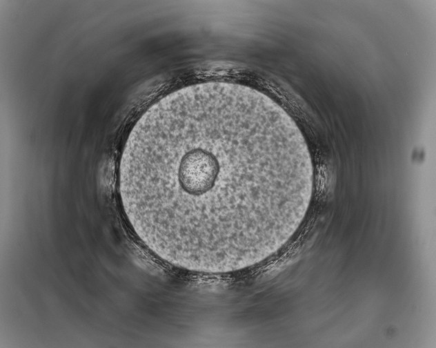 X0000100230820200806131334