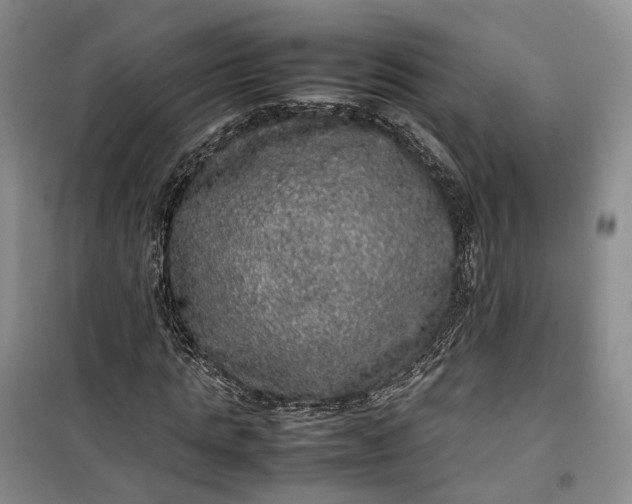 X0000100230821200806131334