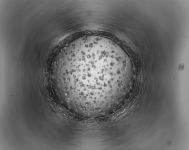 X0000100230822200806131334