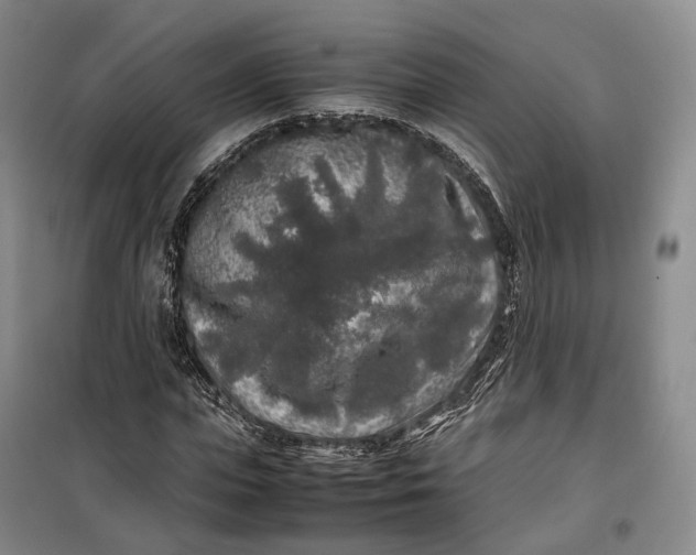 X0000100230823200806131334