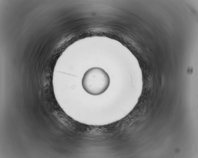 X0000100230824200806131334