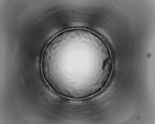 X0000100230825200806131334