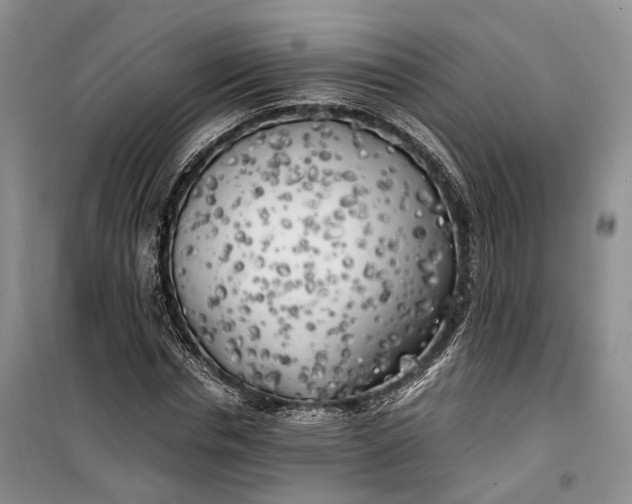 X0000100230826200806131334