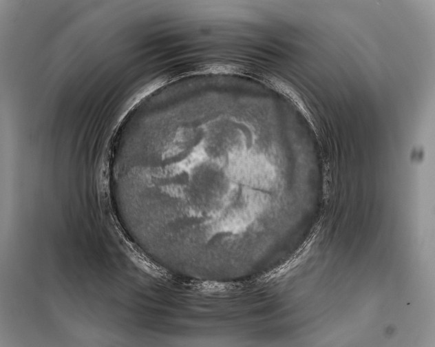 X0000100230827200806131334