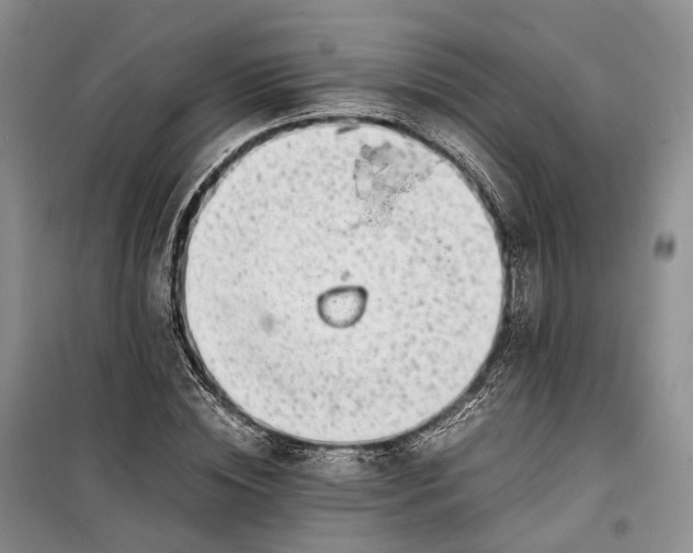 X0000100230828200806131334