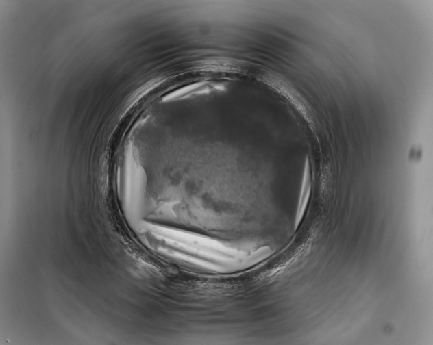 X0000100230829200806131334