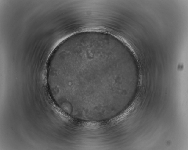 X0000100230830200806131334