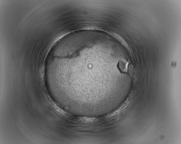 X0000100230831200806131334