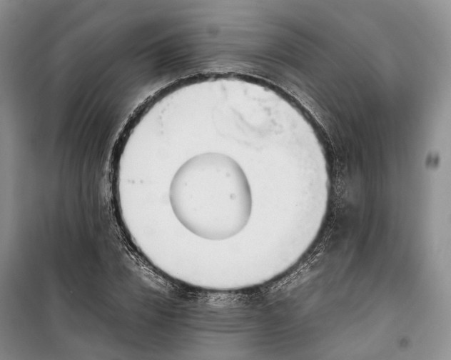 X0000100230832200806131334